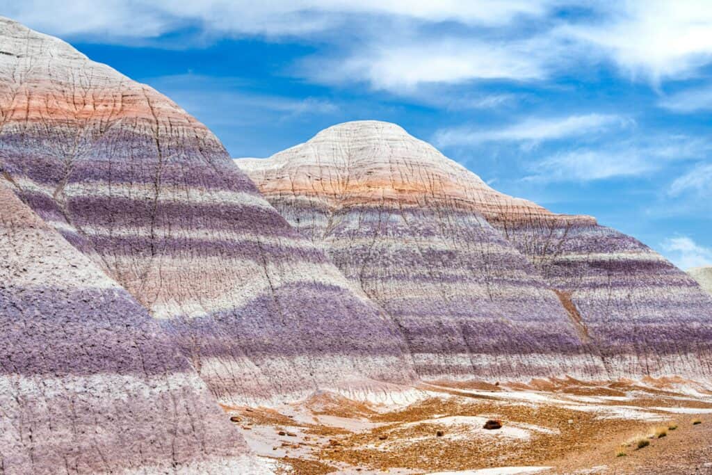 Blue Mesa Trailhead, Arizona, USA